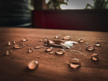Close-up of ice cream on table