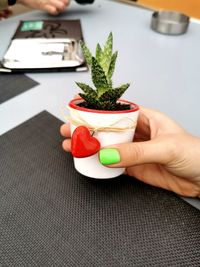 Close-up of hand holding food