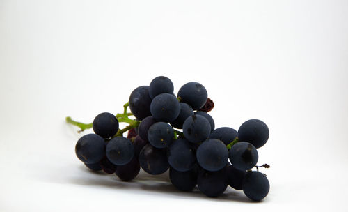 Close-up of grapes against white background