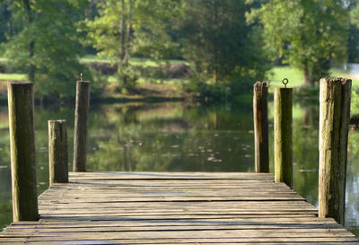 Wooden posts on pier by trees