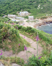 High angle view of flowering plants by building