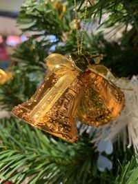 Close-up of christmas tree