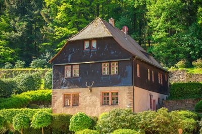 House amidst trees and plants in forest