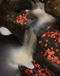 Blurred motion of waterfall