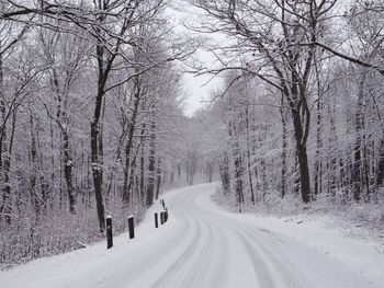 Snow covered road amidst bare trees during winter