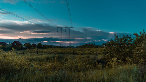 Plants on field against sky