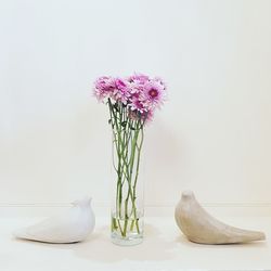 Close-up of flowers against white background