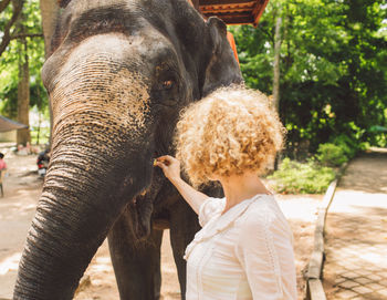 Woman feeding elephant in forest