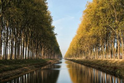 Canal amidst trees against sky