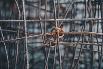 Close-up of metal fence