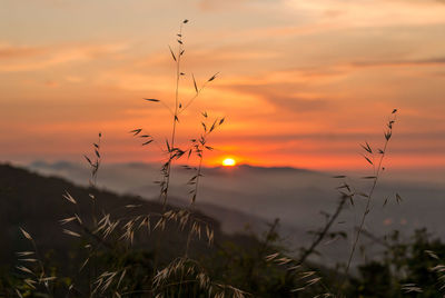 Scenic view of silhouette field against orange sky