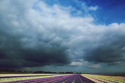 Scenic view of landscape against cloudy sky