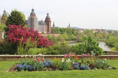 View of trees in city