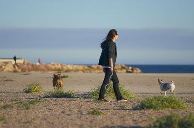 Side view of woman playing with dogs at beach against blue sky