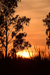 Silhouette trees on field against romantic sky at sunset