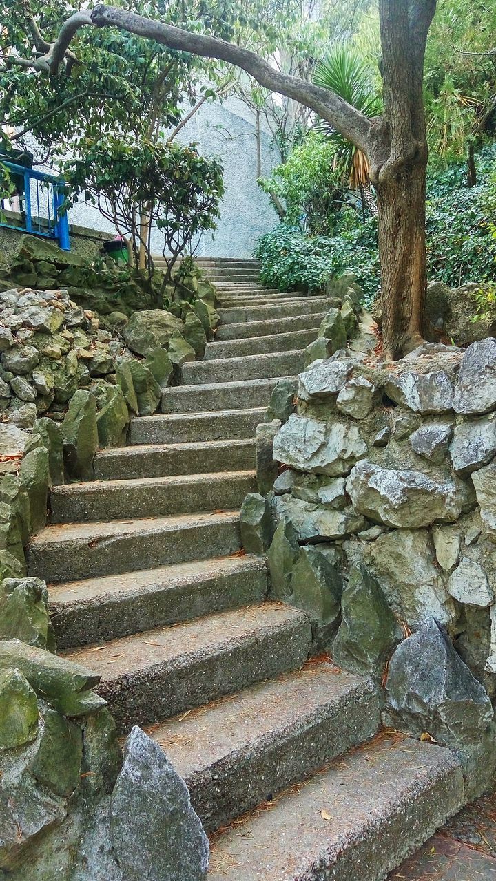 STONE STEPS AND TREES