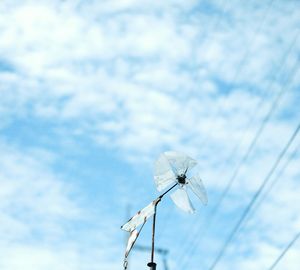 Low angle view of power lines against cloudy sky