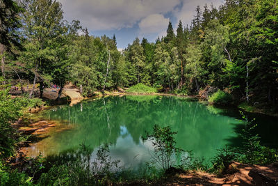 Scenic view of lake by trees in forest against sky