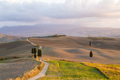 Scenic view of agricultural field against sky