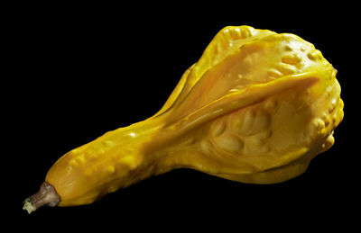 Close-up of ice cream cone against black background