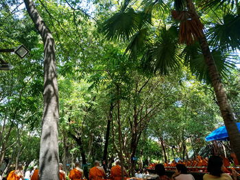 Low angle view of people by palm trees