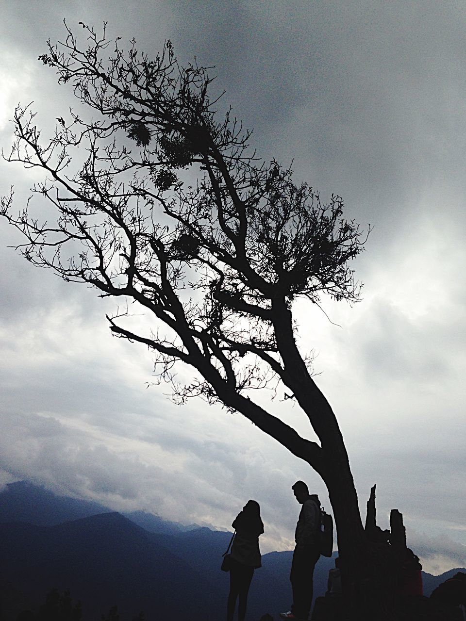 silhouette, sky, tree, low angle view, cloud - sky, bare tree, tranquility, cloud, lifestyles, nature, leisure activity, men, branch, beauty in nature, tranquil scene, person, standing, tree trunk