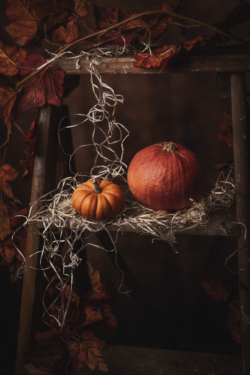 CLOSE-UP OF PUMPKIN ON TABLE