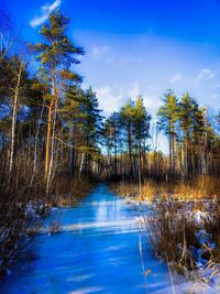 Reflection of trees in lake against blue sky