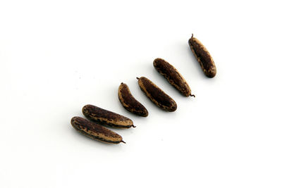 Close-up of coffee beans against white background