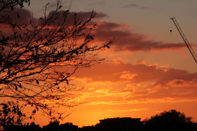 Low angle view of silhouette tree against orange sky