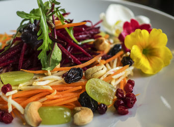 Close-up of salad served in plate