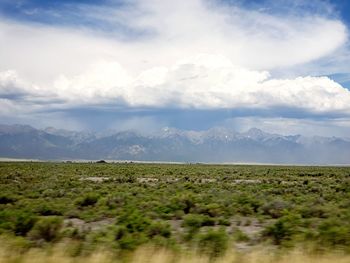 Scenic view of field against sky