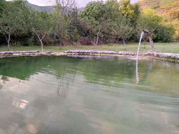 Scenic view of lake against trees