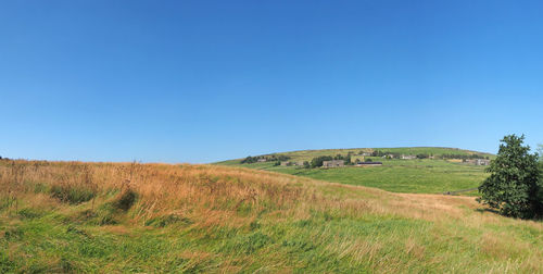 Scenic view of landscape against clear blue sky