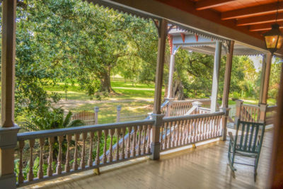 Trees seen through balcony