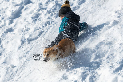 Close-up of dog running on snow