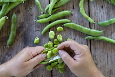 High angle view of hand holding vegetables on table