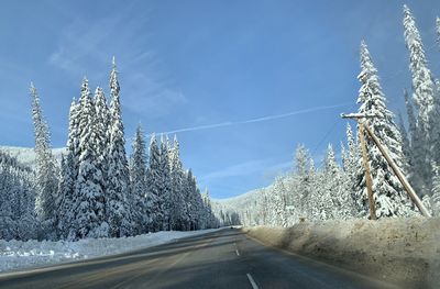 Road by trees against sky during winter