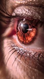 Close-up of human eye