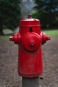 Red fire hydrant on field