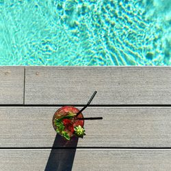 High angle view of strawberry by swimming pool