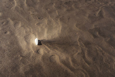 High angle view of footprints on sand at beach