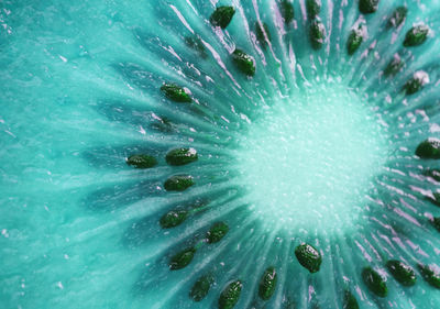 Full frame shot of water drops