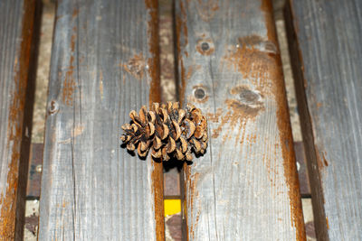 Close-up of rusty metal door