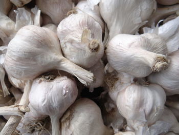 Full frame shot of garlic for sale in market