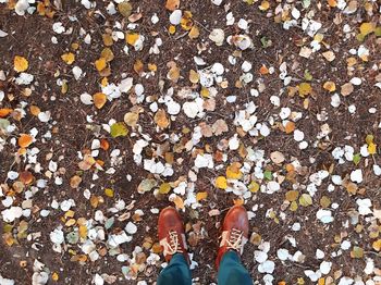 Low section of person standing on pebbles during autumn