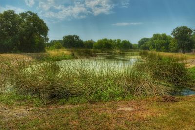 Scenic view of lake against sky