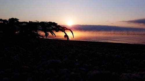 Silhouette people on beach against sky during sunset
