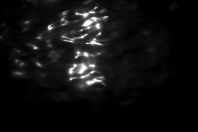 Close-up of fire against black background