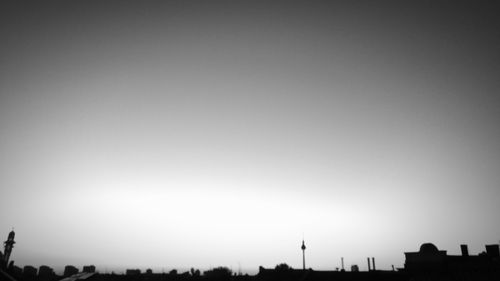 View of tree against clear sky